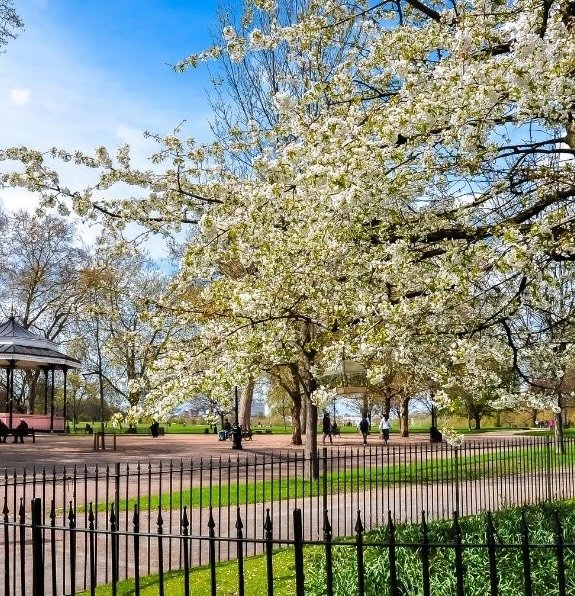 Royal Parks and Hidden Pubs