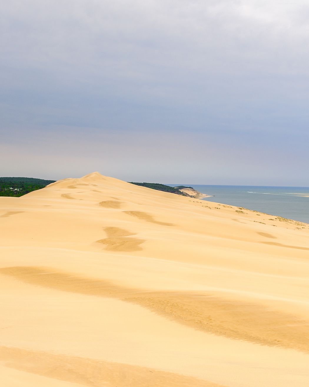 Coastal Breezes and Giant Dunes