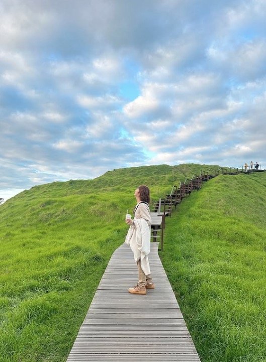The Ultimate Auckland Day Plan