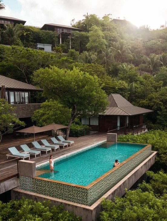 Treehouse Living in the Jungle