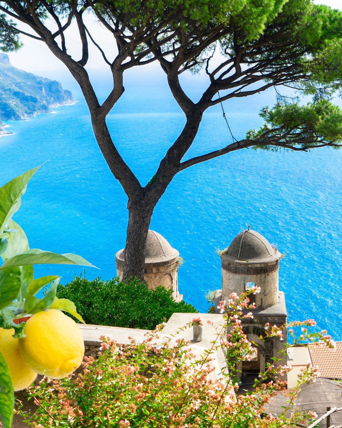 Lemon Groves and Michelin Stars