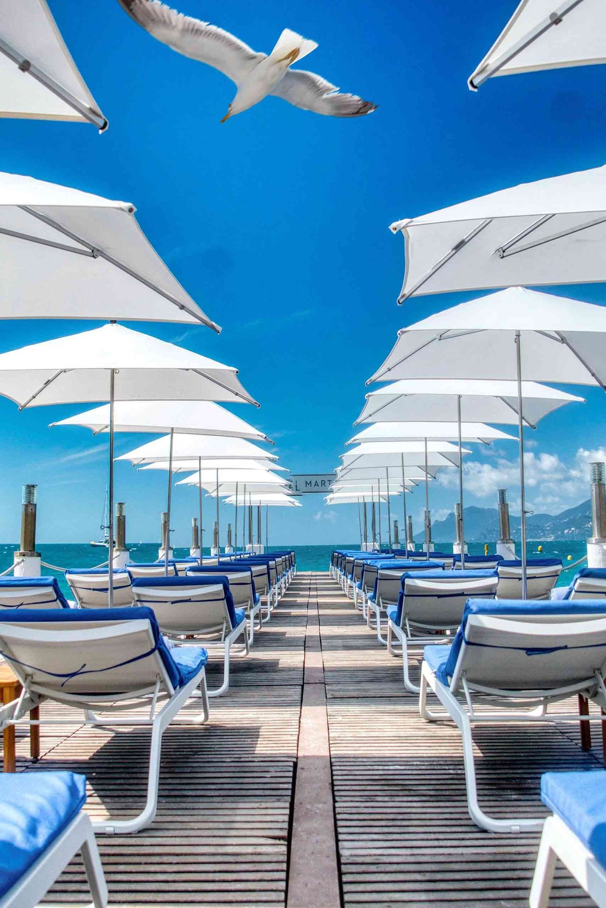 Sun-Drenched Afternoons and Island Escapes
