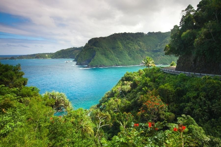 Chasing Love and Adventure in Maui