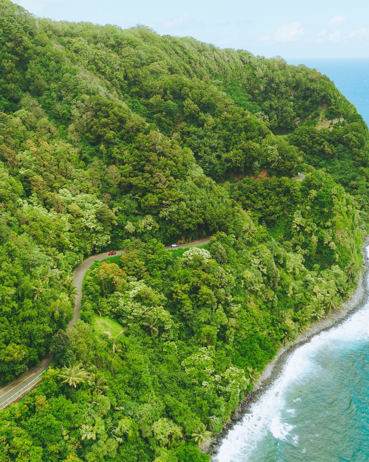 Above the Clouds and Into the Rainforest