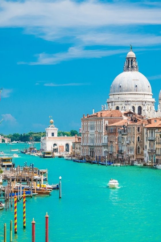 Venice Film Festival Extravaganza