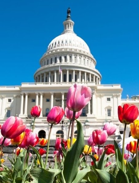 The Ultimate D.C. Family Day Plan